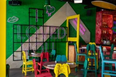 Señor Frog's Playa del Carmen