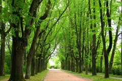 Serralves Foundation