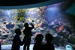 Seville Aquarium
