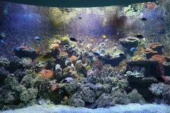 Seville Aquarium