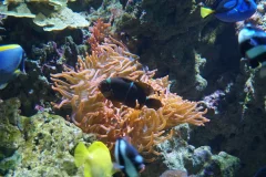 Seville Aquarium