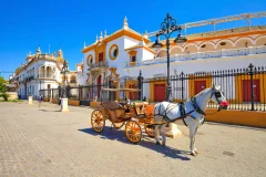 Seville City Tours