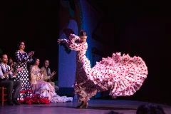 Seville Flamenco Shows