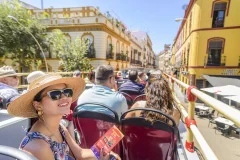 Seville Hop-on Hop-off Tours