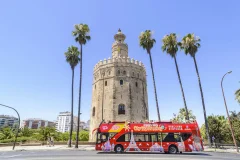 Seville Hop-on Hop-off Tours