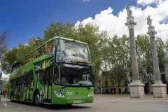 Seville Hop-on Hop-off Tours
