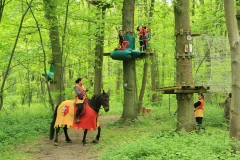 Sherwood Parc