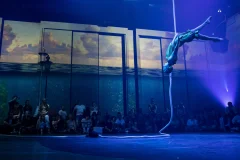 Shows and Entertainment in Montreal