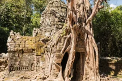 Siem Reap Bike Tours