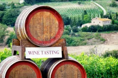 Siena Day Trips from Florence