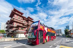 Singapore Bus Tours