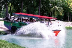 Singapore Bus Tours