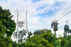 Singapore City Cards