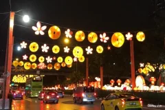 Singapore Hop-on Hop-off Tours