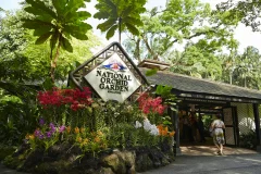 Singapore National Orchid Garden