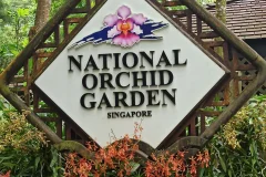 Singapore National Orchid Garden