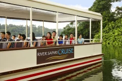 Singapore River Wonders