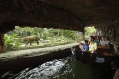 Singapore River Wonders