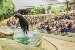 Singapore Zoo