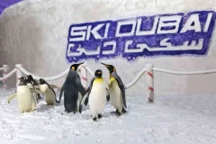 Ski Dubai