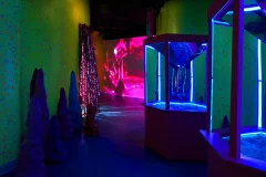Sloomoo Institute - Chicago