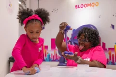 Sloomoo Institute - Houston