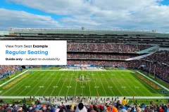 Soldier Field