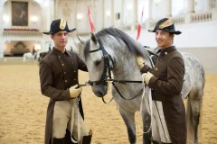 Spanish Riding School