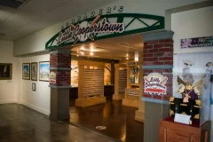 St. Petersburg Museum of History