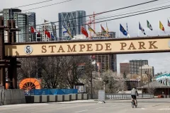 Stampede Park