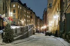 Stockholm City Tours