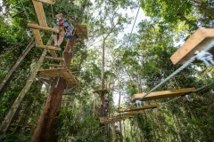 Sunshine Coast Adventure Park, The Big Pineapple