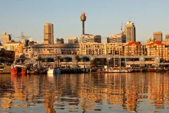 Sydney Fish Market