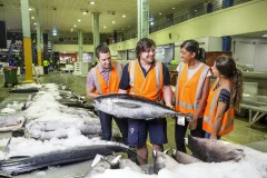 Sydney Fish Market
