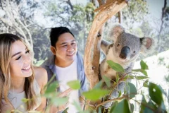 Sydney Zoo