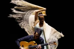 Tablao Flamenco Alma