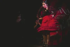 Tablao Flamenco Casa Ana Granada