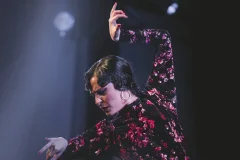Tablao Flamenco Casa Ana Granada