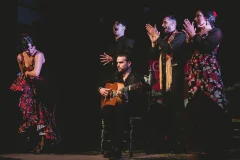 Tablao Flamenco Casa Ana Granada