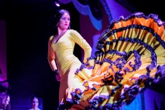 Tablao Flamenco El Palacio Andaluz