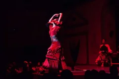 Tablao Flamenco El Palacio Andaluz