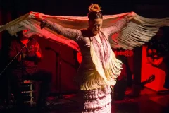 Tablao Flamenco Las Setas
