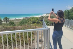 Tampa City Tours