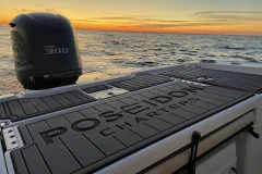 Tampa Cruises