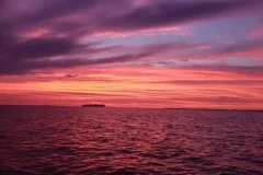 Tampa Cruises