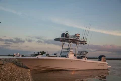 Tampa Cruises