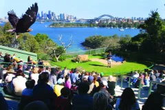 Taronga Zoo Sydney