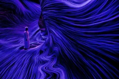 teamLab Phenomena Abu Dhabi