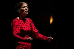 Teatro Flamenco Madrid