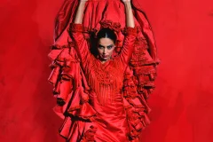 Teatro Flamenco Madrid